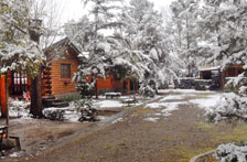 Vista de una cabaña nevada